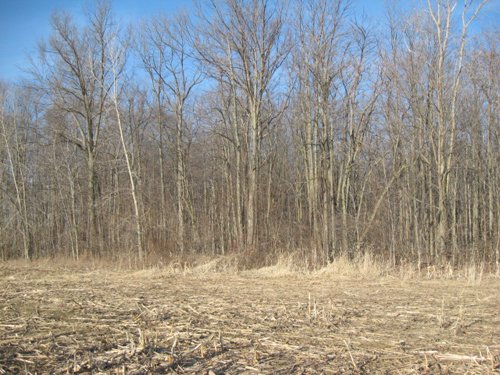 Property photo 19 - 44 Acres Offered in 3 Tracts